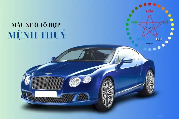 Người Mệnh Thuỷ Sinh Năm Bao Nhiêu?