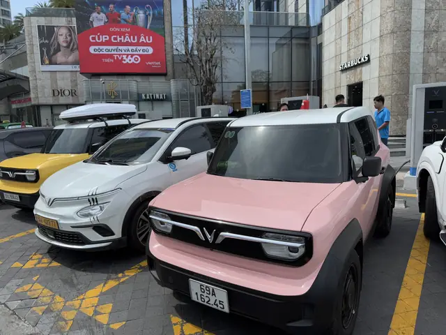 Năm Bùng Nổ Của Thị Trường Xe Điện Việt Nam- Ảnh 1.