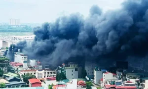 Sự Thiếu Đồng Bộ Của Xe Ô Tô Vinhphat