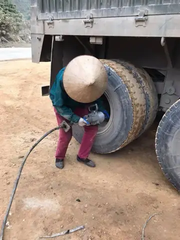 Đặc Điểm Nổi Bật