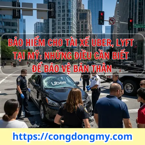 Tài Liệu Học Lái Xe Ô Tô Bằng C: Cẩm Nang Lý Thuyết & Thực Hành