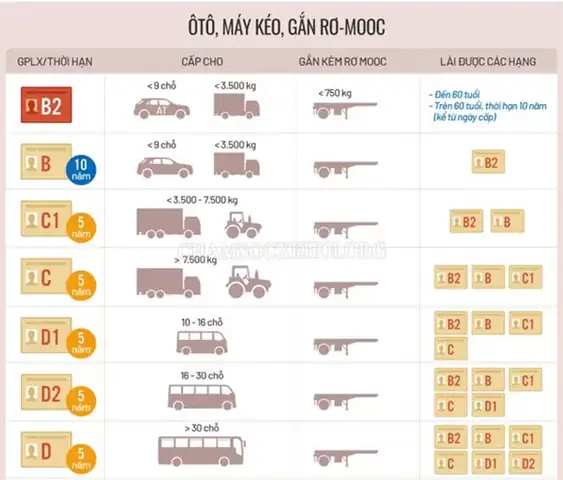 Tải Luyện Thi Giấy Phép Lái Xe Ô Tô: Ứng Dụng & Kinh Nghiệm