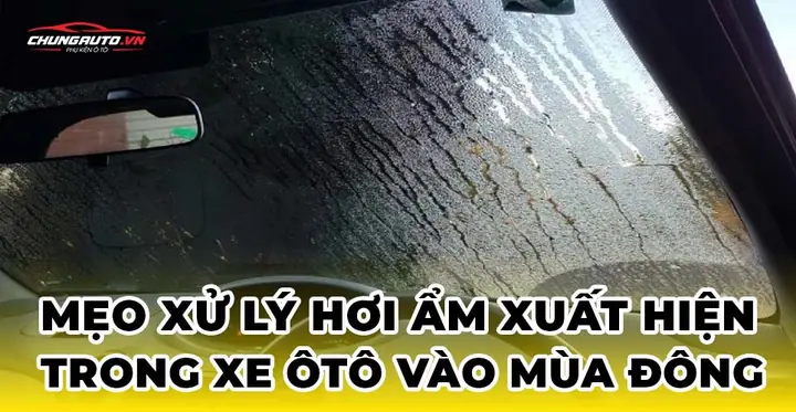Mẹo Xử Lý Hơi Ẩm Trong Ô Tô Hiệu Quả