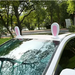 Tai Thỏ Trên Nóc Xe Ô Tô Là Gì?