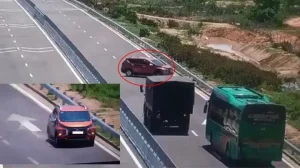 Tài Xế Ô Tô Hổ Báo Quay Đầu Xe