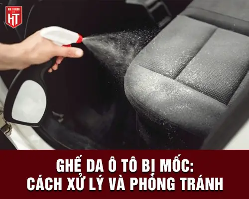 Cách Xử Lý & Phòng Tránh Ghế Da Ô Tô Bị Mốc