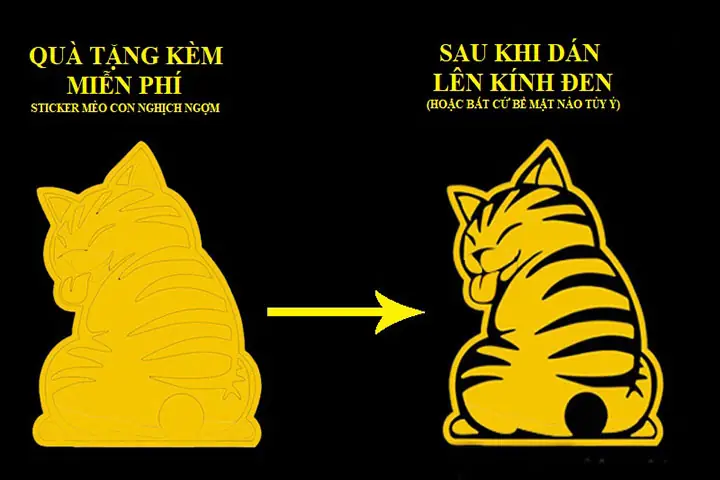 Tem Dán Phía Sau Xe Ô Tô