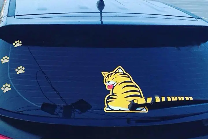 Thông Tin Sản Phẩm: