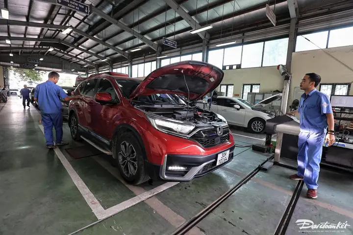 W_snapseed-324.jpg W_snapseed-324.jpg