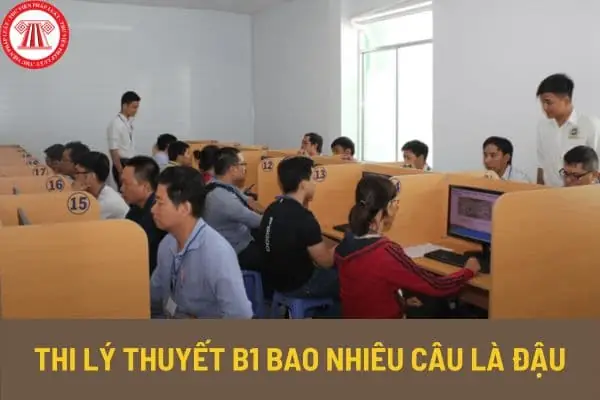 Thi Lý Thuyết Lái Xe Ô Tô Gồm Những Gì?