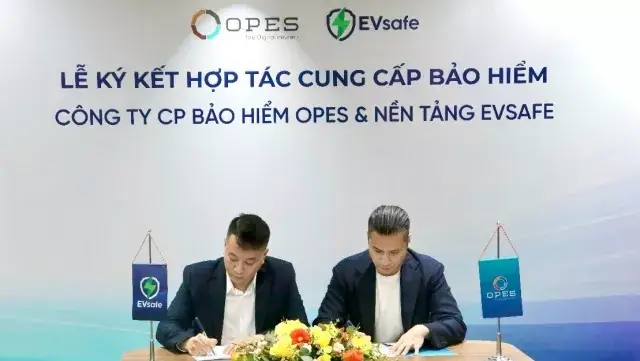 Ngành Pin Xe Điện Toàn Cầu Đối Mặt Thách Thức Mới: Dư Thừa Nguồn Cung