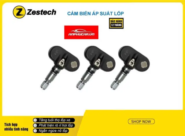 12. Cảm Biến Áp Suất Lốp