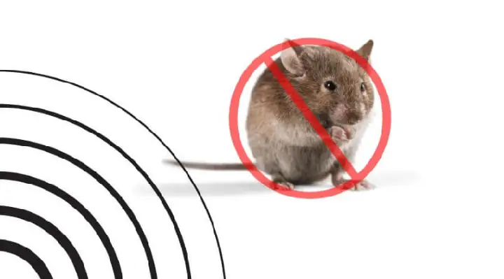 Phạm Vi Phủ Sóng Rộng