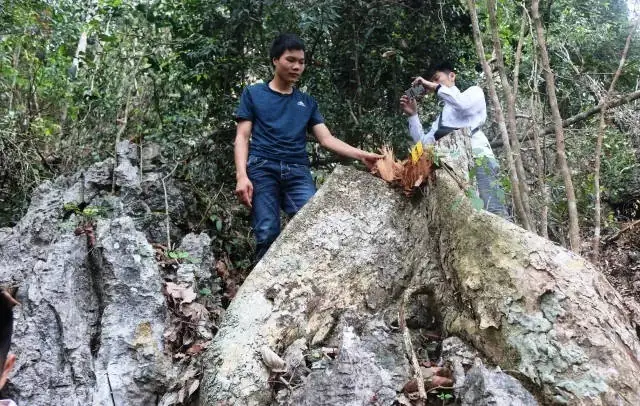 Thôn Bạch Xá Đốt Xe Ô Tô