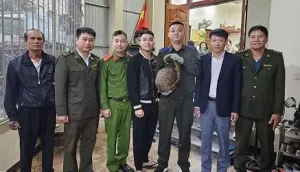 Thông Tin Lý Lịch Tư Pháp Của Công Dân Sẽ Được Hiển Thị Thành Trường Thông Tin Sẵn Có Trên Vneid