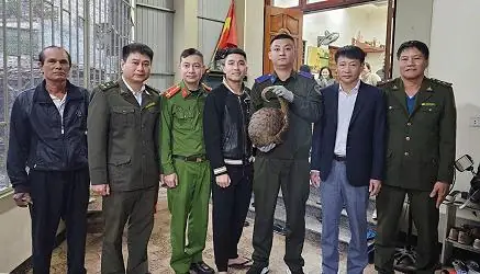 Thông Tin Lý Lịch Tư Pháp Của Công Dân Sẽ Được Hiển Thị Thành Trường Thông Tin Sẵn Có Trên Vneid