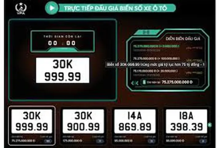 Nghị Định Số 156/2024/nđ-cp Quy Định Các Bước Thực Hiện Một Cuộc Đấu Giá Biển Số Xe.