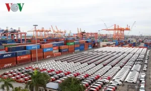 Trong 388 Xe Nháº­p Kháº©u Vá» Viá»t Nam Trong Tuáº§n Qua Cã³ Tá»i 341 Chiáº¿c Lã Ã´ Tã´ Dæ°á»i 9 Chá» Ngá»i. Áº¢nh: H.n