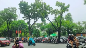 Khu Vực Nội Thành Hà Nội Có Gần 600 Điểm Đỗ Xe Tại Lòng Đường, Vỉa Hè.