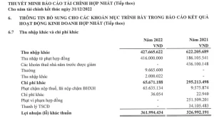 Biểu Hiện Của Lỗ Do Thanh Lý Tài Sản