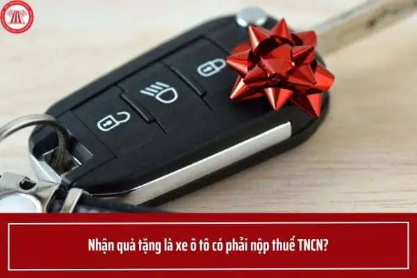 Thủ Tục Học Lái Xe Ô Tô Và Quy Trình Đăng Ký Chi Tiết