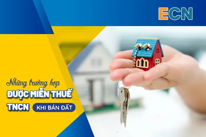 Thủ Tục Cho Thuê Tài Sản Là Xe Ô Tô