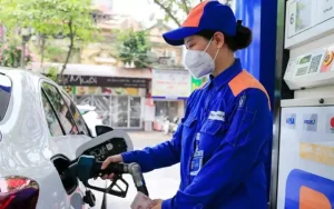 Ubtvqh Ban Hành Nghị Quyết Về Mức Thuế Bảo Vệ Môi Trường Đối Với Xăng, Dầu, Mỡ Nhờn