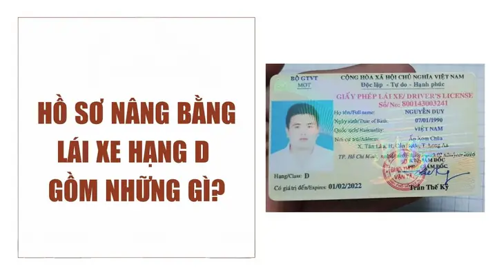 Hồ Sơ Đổi Bằng Lái Xe Hạng D
