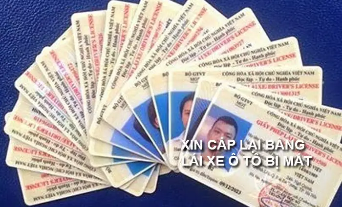 Xin Cấp Lại Bằng Lái Xe Ô Tô Bị Mất ( Ảnh Minh Họa )