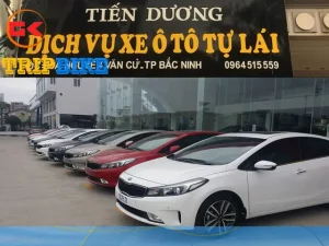 Lucky Tiến Dương