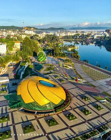 Tại Sao Bạn Nên Lựa Chọn Thuê Xe Ô Tô Đà Lạt 45 Chỗ