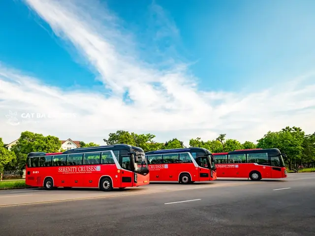 Chúng Tôi Cam Kết Cung Cấp Xe Đi Cát Bà Như Sau