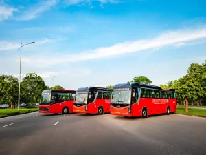 Tổng Quan Về Xe Khách Hà Nội Đi Cát Bà Của Cát Bà Express