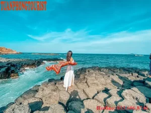 Nhu Cầu Đi Phú Yên Hiện Nay