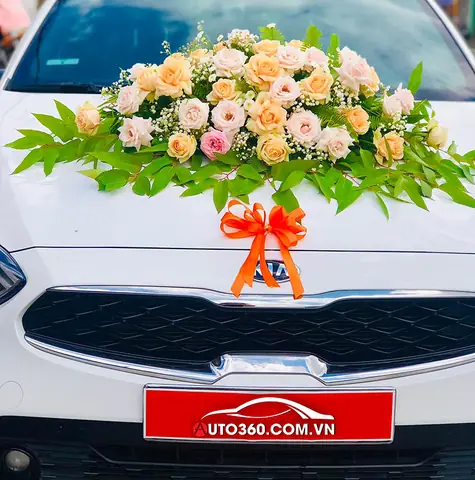 Giới Thiệu Dịch Vụ Thuê Xe Tự Lái Điện Biên Giới Thiệu Dịch Vụ Thuê Xe Tự Lái Điện Biên