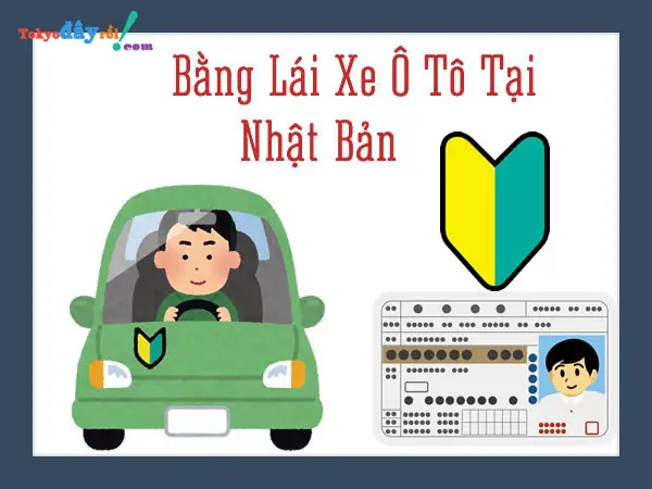 Điều Kiện Thuê Xe Tự Lái Tại Nhật