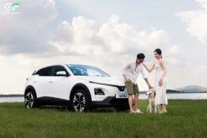 Danh Sách Các Loại Xe Cho Thuê Tự Lái Thanh Trì Tại Green Future