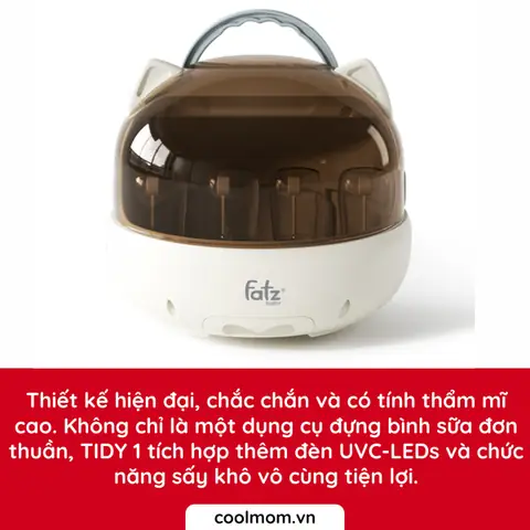 Tidy Trong Xe Ô Tô