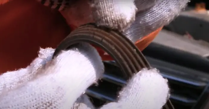 Tiếng Rít Rít Đều Và Mau