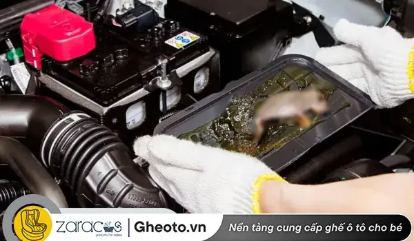 Dọn Dẹp Và Tổng Vệ Sinh – Bước Đầu Tiên Quan Trọng Nhất