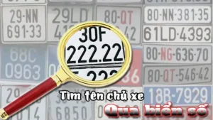 Tại Sao Phải Tìm Tên Chủ Xe Qua Biển Số Xe Ô Tô?