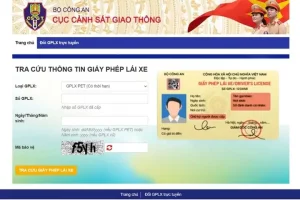 Tra Cứu Gplx Trên Website Cục Csgt