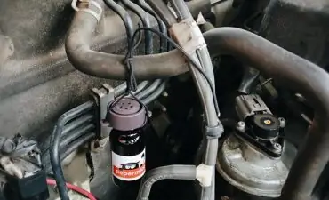 Tinh Dầu Đuổi Chuột Pepermice