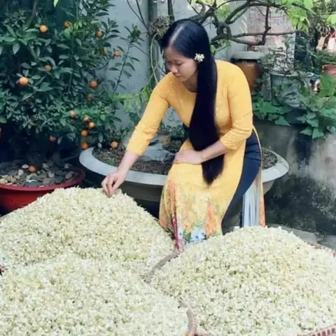 Z4255969741324_1c26fdf3de40858538942abc988f4496