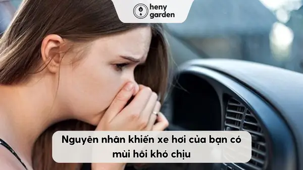 Nguyên Nhân Chủ Yếu Khiến Xe Hơi Có Mùi Khó Chịu