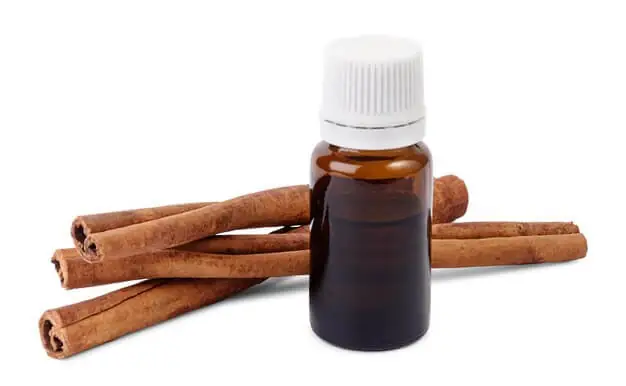 Tinh Dầu Đuổi Chuột Hương Quế