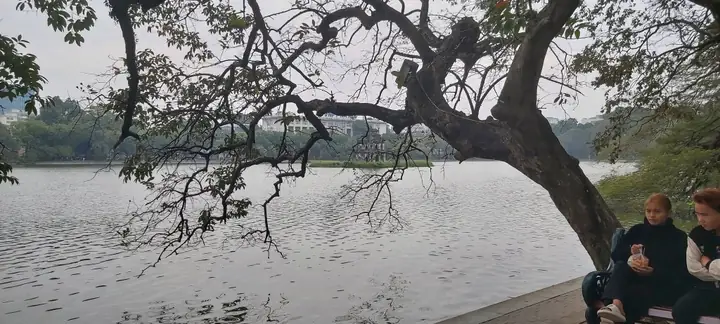 Kinh Nghiệm Cho Thuê Chỗ Đỗ Xe Ô Tô Trên Otofun Và Cộng Đồng