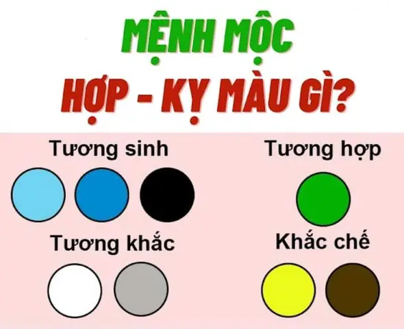 Người Mệnh Mộc Hợp Màu Gì?