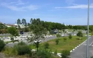 Trung Tâm Sát Hạch Lái Xe Ô Tô Đà Nẵng: Top 5 Và Hướng Dẫn