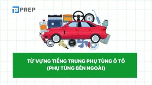 Bộ Phận Bên Ngoài